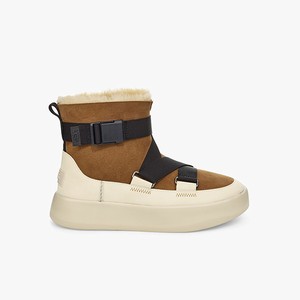 Ugg Classic Boom Buckle Klassiska Stövlar Dam Bruna (913628MGS)